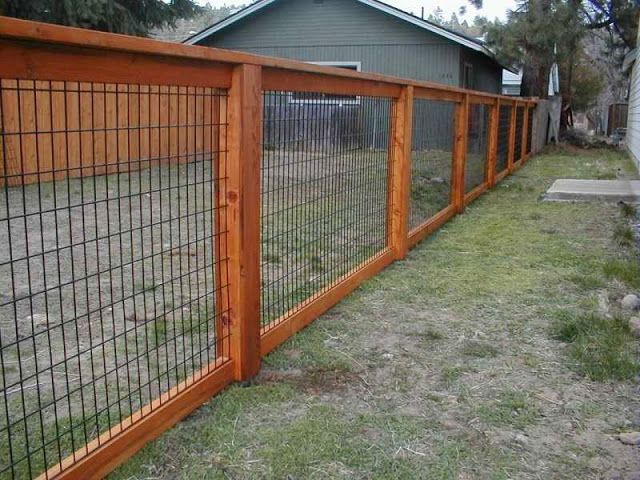 Best Fence for Pets